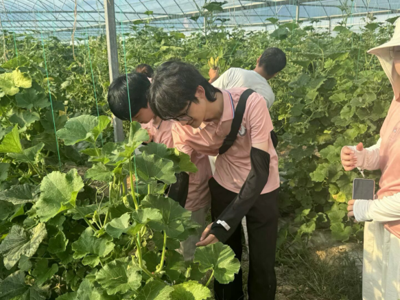 从红色沃土到振兴田野 beat365正版唯一入口必一学子开展暑期社会实践_fororder_图片7